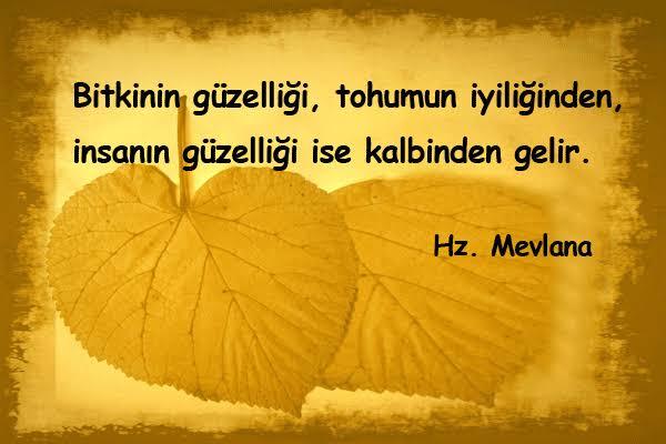 Kalp güzelligi yüze veya söze yansır mı?