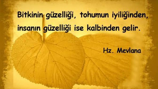 Kalp güzelligi yüze veya söze yansır mı?