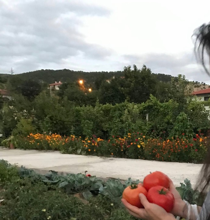 Narin bileklerim sen bu yükü nasıl kaldirirsun?