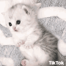 Sevgi biter mi, bitirilir mi?
