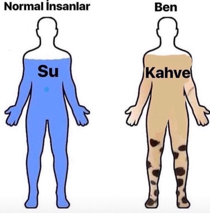 Sizin vücudunuzda su yerine ne geziyor?