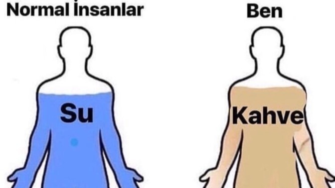 Sizin vücudunuzda su yerine ne geziyor?