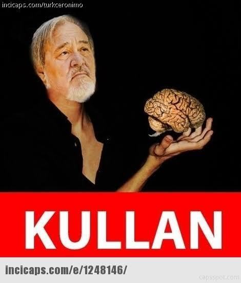 Ülkedeki eşek kadar Suriyeliler gitsin onun yetine Filistindeki minik bebekler, çocuklar gelsin yaa?
