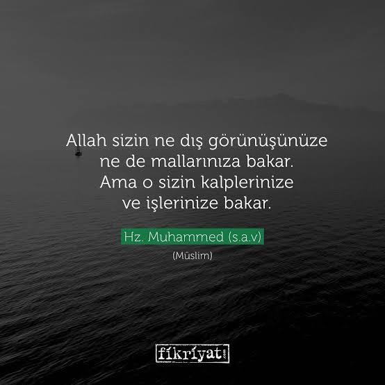 Hadis