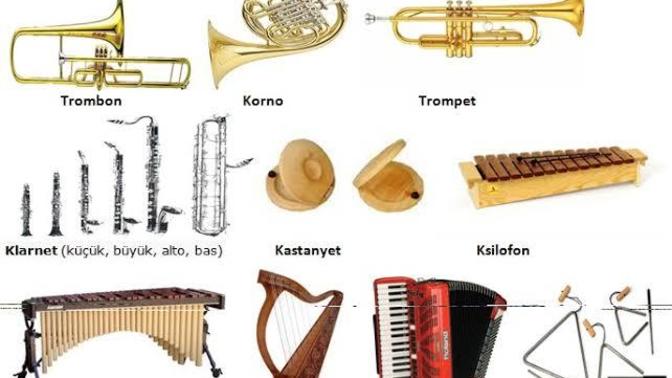 Enstrüman çalan erkek mi yoksa kaslı erkek mi?