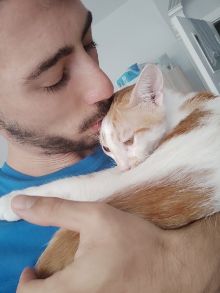 Vahşi hayvan beslemek serbest olsa hangi hayvanı beslemek isterdiniz?