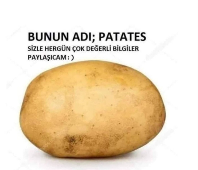 Artık size faydalı bilgiler aktaracam, notlarınızı aldınız mı?🤔 yarın patlıcan ona göre hazırlıklı olun 🤭🤭🤭?