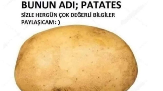 Artık size faydalı bilgiler aktaracam, notlarınızı aldınız mı?🤔 yarın patlıcan ona göre hazırlıklı olun 🤭🤭🤭?