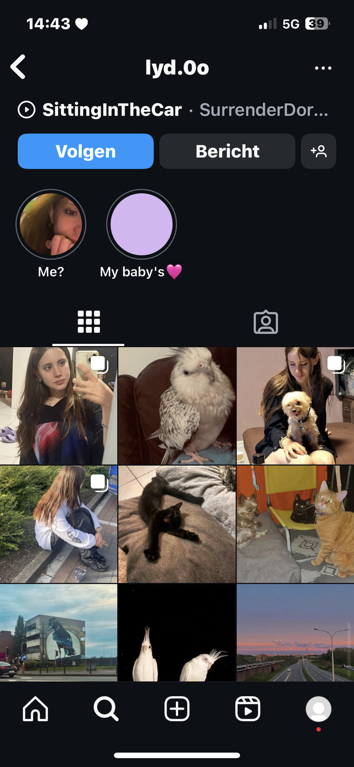 Hangi fotoğraf instagram profil fotoğrafım olsun?