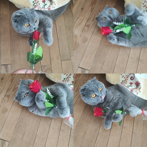 Size hiç çiçek alındı mı?
