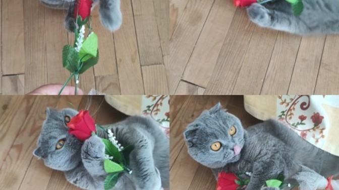 Size hiç çiçek alındı mı?