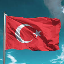Türk olmasan, Türkiyeyi sever miydin?