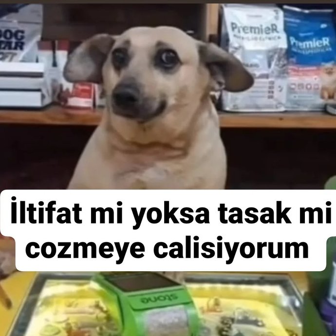 Sizinde ruh halinizi terapilik hale getirenler var mı?