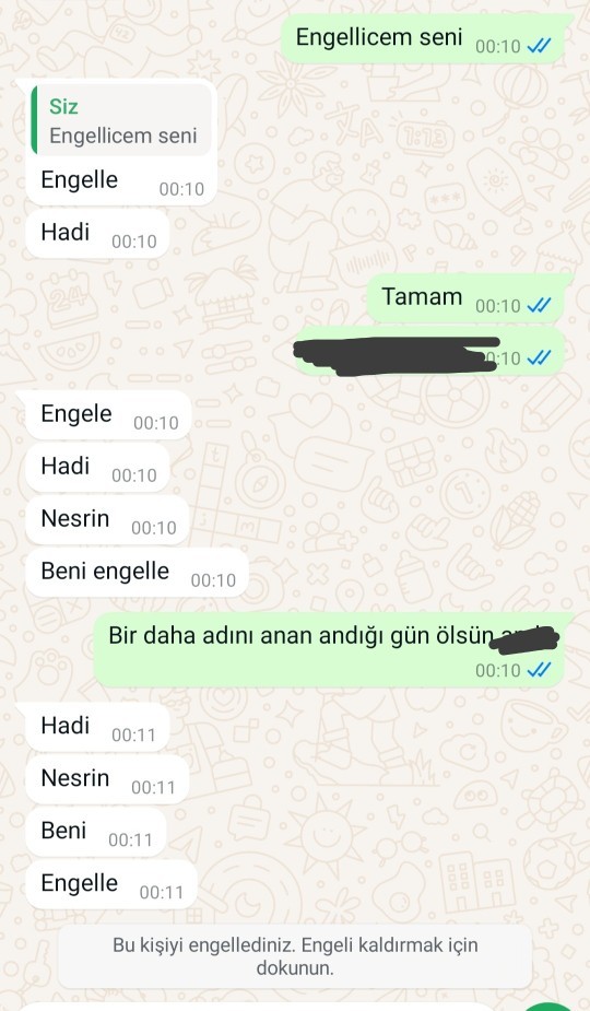 Sizce engelleyerek iyi bir karar vermişmiyim?