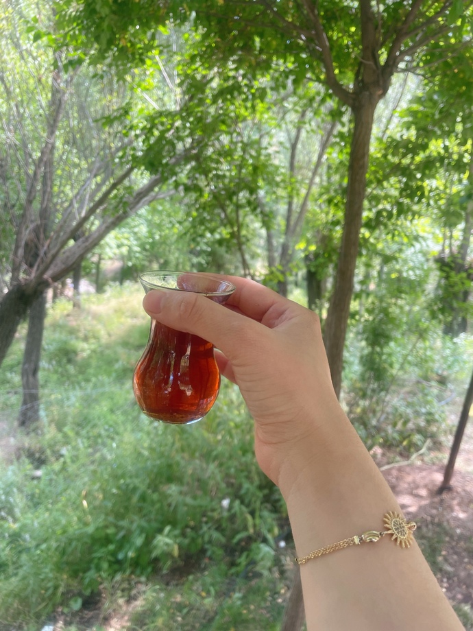 Günaydın 🌞 Çaylar içildi mi?