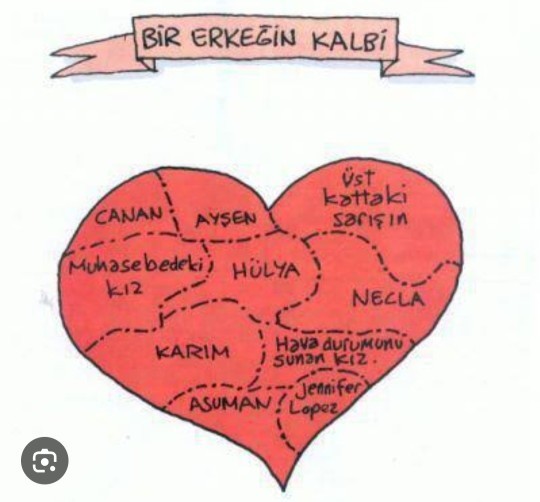 Erkeklerin kalbi kaça bölünür?