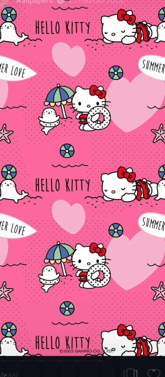 Hello Kitty konser verse gider miydiniz?