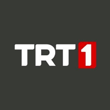 Sizce En İyi Türk Dizilerini Hangi Kanal Yayınlıyor?