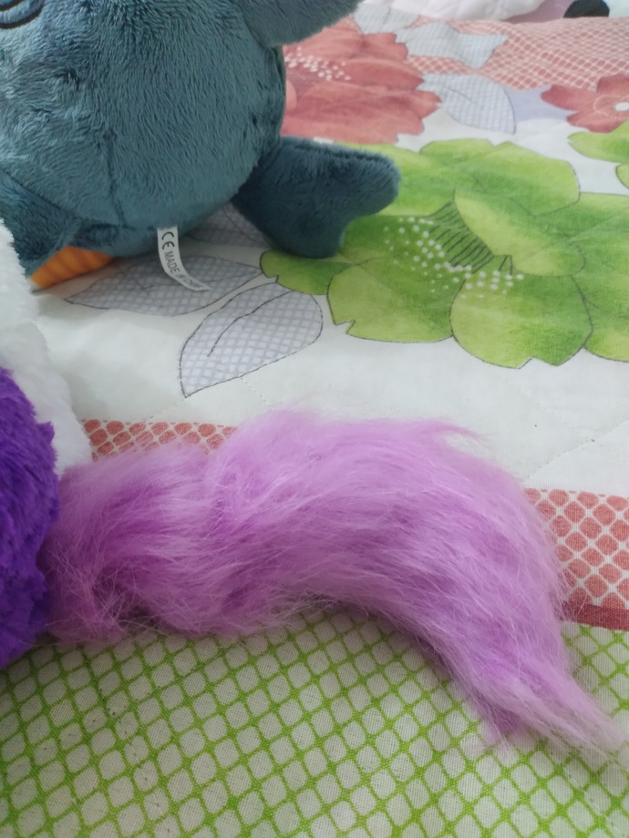 Misfittens mi daha güzel, köpekbalığı kedi mi?