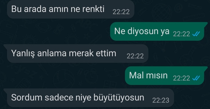 Inanilmaz kibar bi flörtünüzden böyle bir mesaj alsanız tepkiniz ne olurdu?