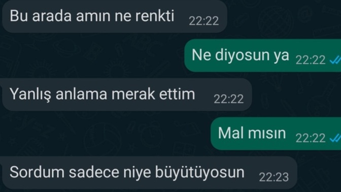 Inanilmaz kibar bi flörtünüzden böyle bir mesaj alsanız tepkiniz ne olurdu?