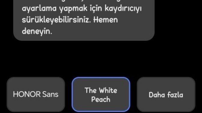 Telefonda hangi yazı boyutunu kullanıyorsunuz?