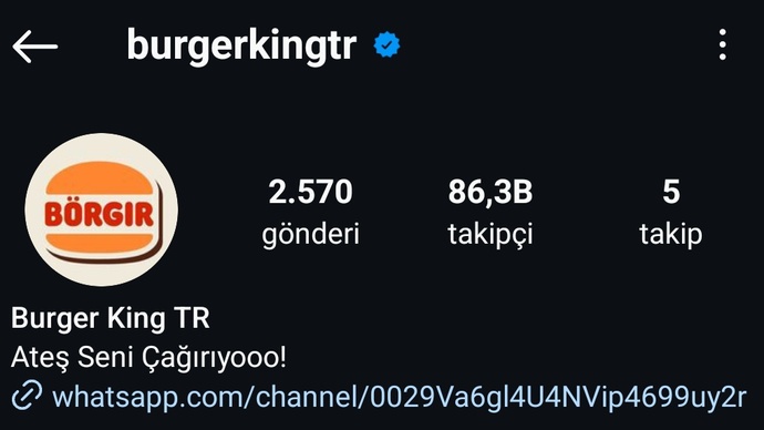 Burger King, Türkiyede ismini Börgır olarak güncelledi. Siz Burger Kingin bu hareketini nasıl buldunuz?