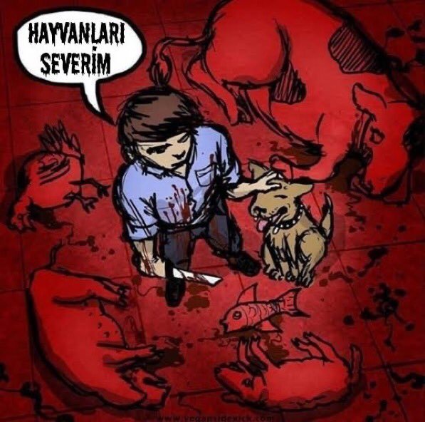 Bazı insanlar neden hayvanseverlik adı altında itlere tapar?