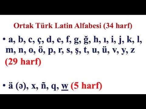 Sadece Türk Devletlerinin kullanacagı alfabe hakkında düşünceniz nedir?