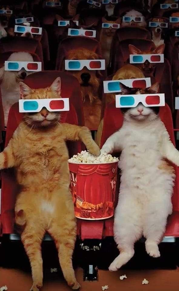 Çok bilinip sizin sevmediğiniz bir film var mı?