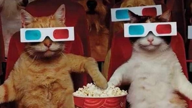 Çok bilinip sizin sevmediğiniz bir film var mı?