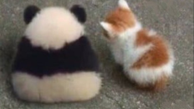 Napıyorsunuuuzz🐣?