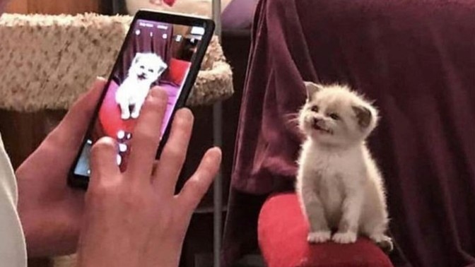 Fotoğraf çekince nasıl gözüküyorsunuz, güzel mi çirkin mi?
