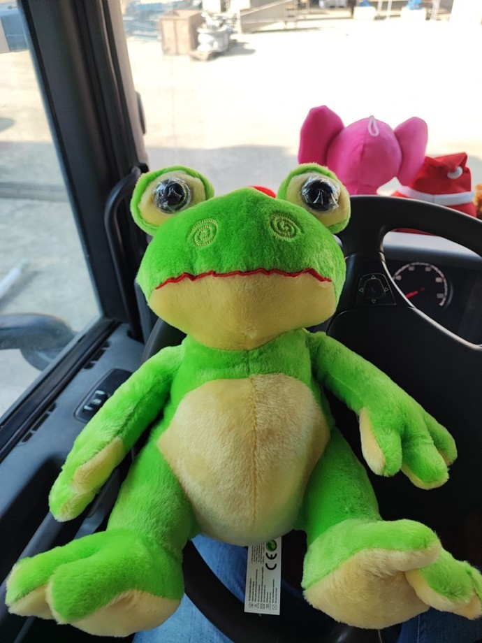 Peluş oyuncaklar hoşunuza gidiyor mu?