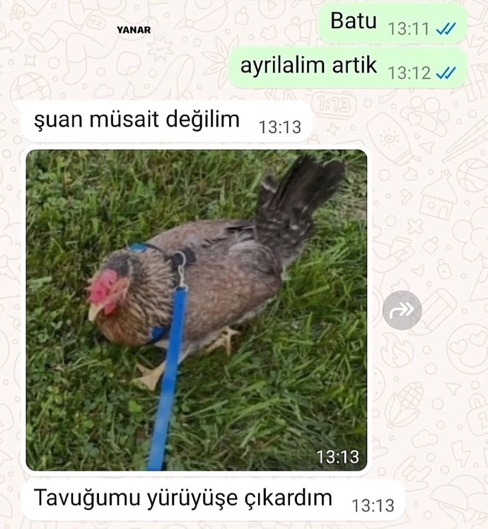 Biriyle görüşmek istemediğinizde ne yaparsınız?