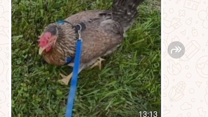 Biriyle görüşmek istemediğinizde ne yaparsınız?