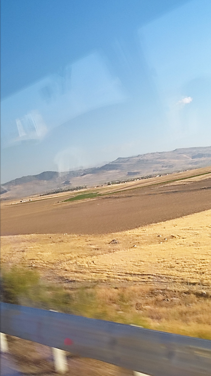 Yolculuk yalnız mı eğlenceli olur yoksa birileriyle mi?