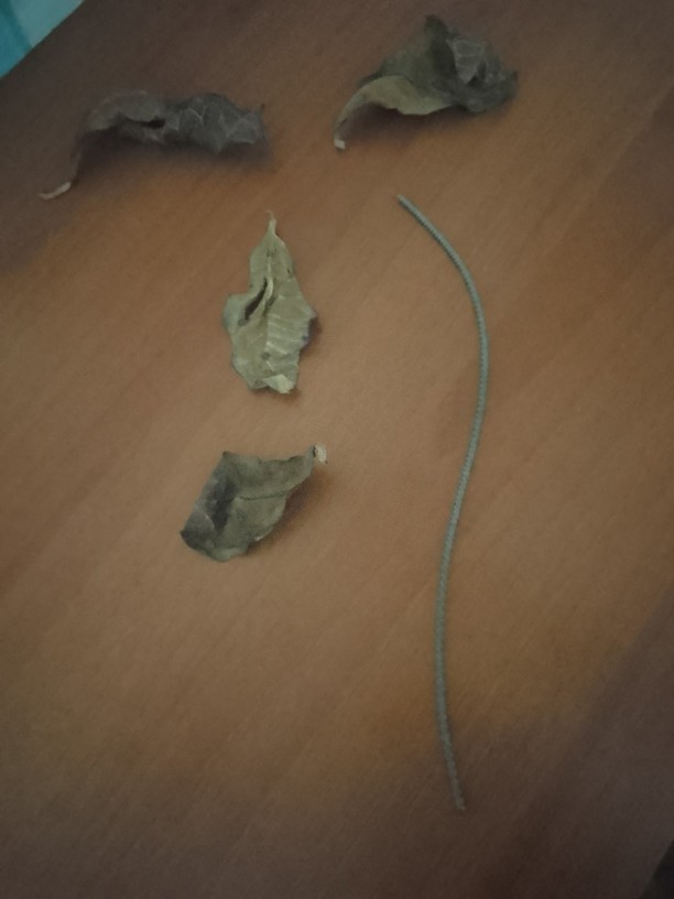 Akşam için şöyle bi meyve tabağı yaptım, master şefe katılmayı düşünüyorum, sizce birinci olur muyum?🤭🤭🤭?