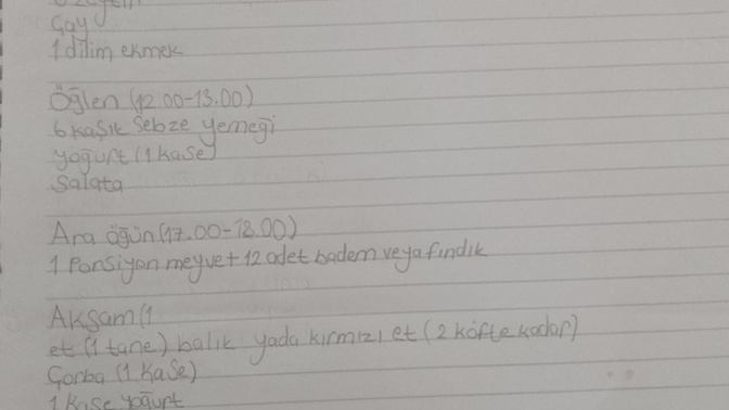 Diyet listem nasıl sizce?