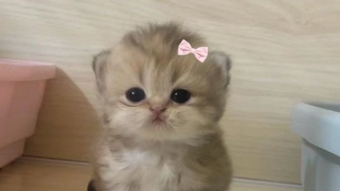 Tam olarak şu an ne düşünüyorsunuz?