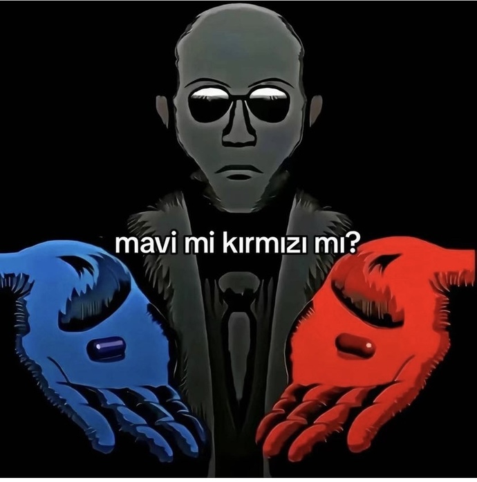 Hangisini seçerdin. Neden?
