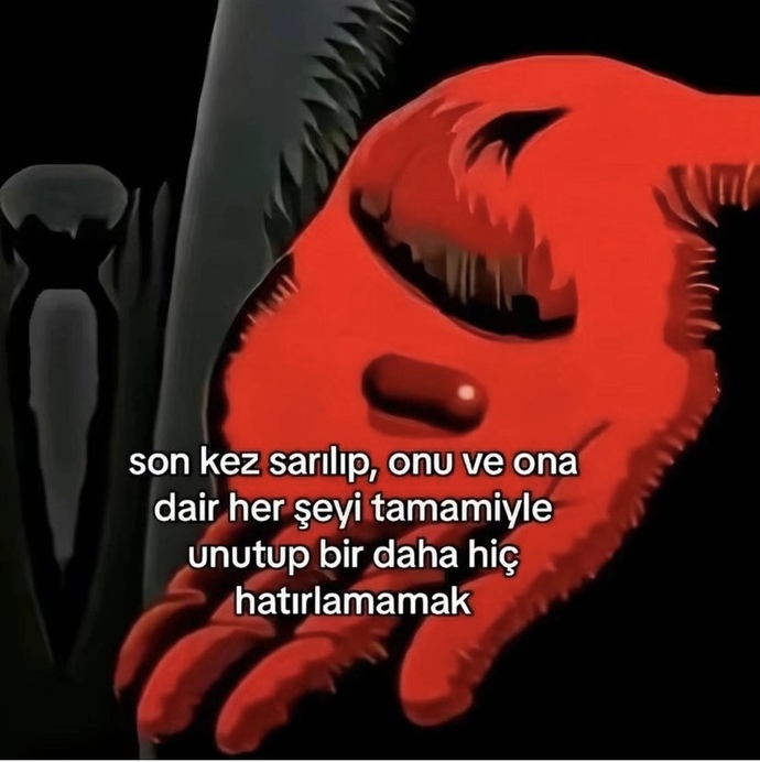 Hangisini seçerdin. Neden?