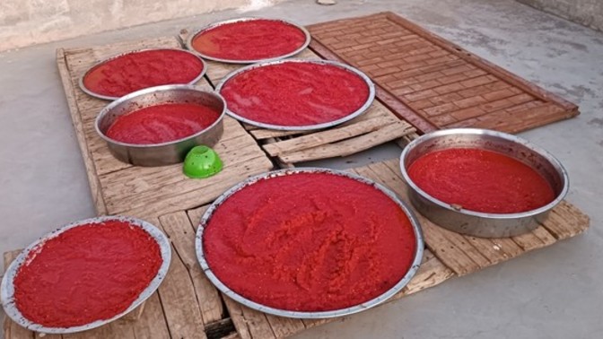 Biber salçası yapmayan kaldı mı🌶️?