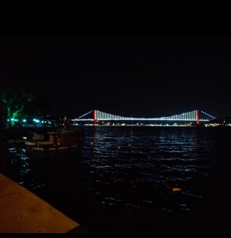 Gece keyifli ama vallahi şu an tadim kaçtı. Sizce insanları anlamak için aptallıklarina göz mü yummaliyiz?