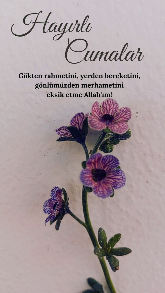 Her duyduğunuza inanır mısınız?