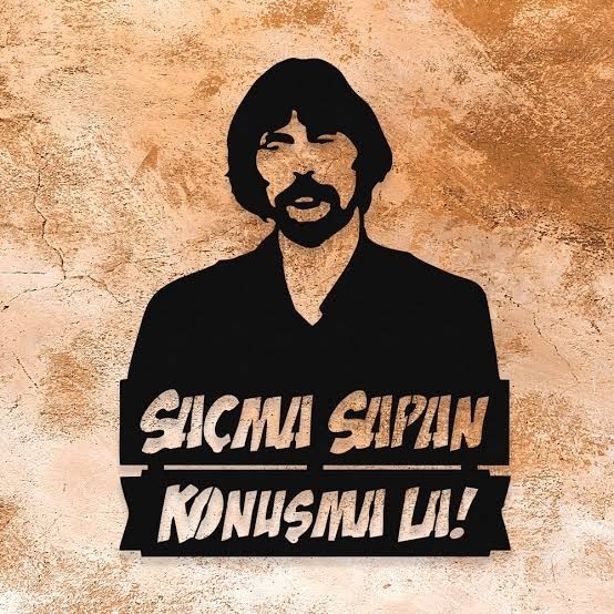 Amcamla teyzemin arasını yapayım mı?