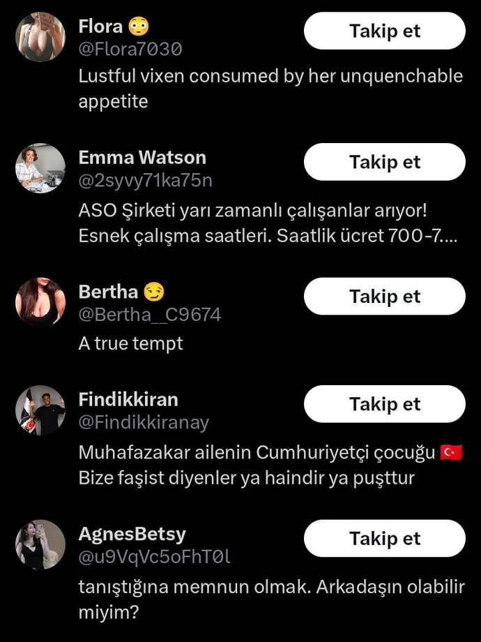 Twitterda sevgilimi boyle hesaplar takip ediyor?