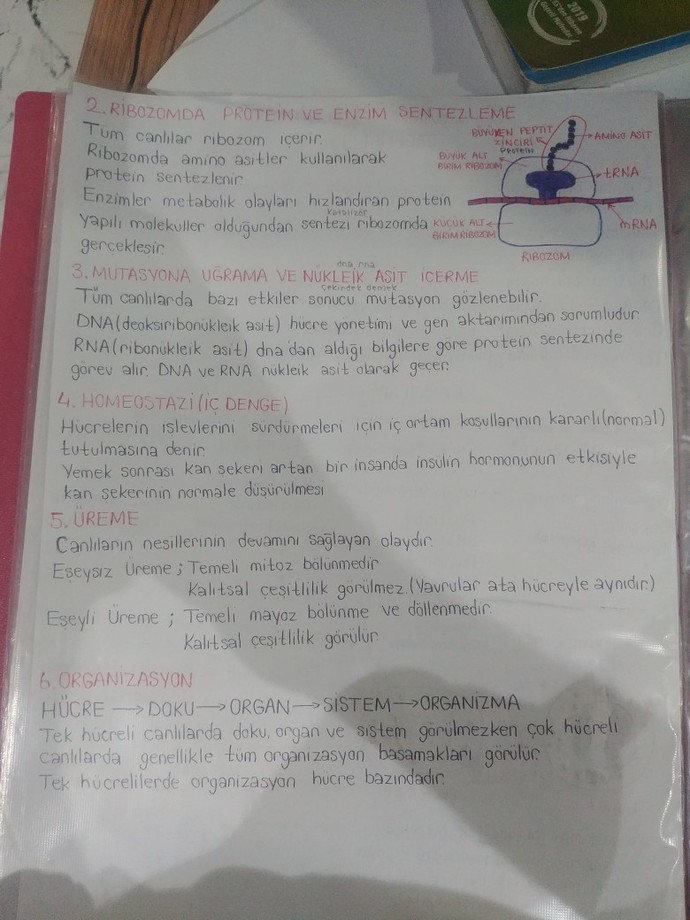 23 yaşında olup hala şunlara çalışan var mı?
