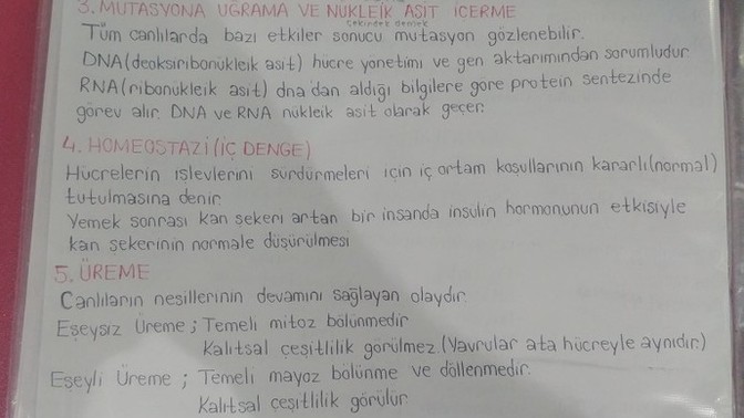 23 yaşında olup hala şunlara çalışan var mı?