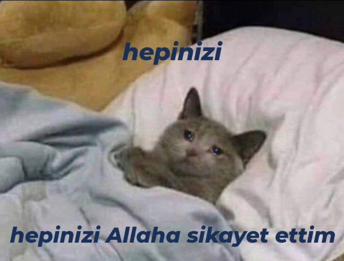 SEA GENÇLİK NAPIYORSUNUZ , NASILSINIZ LOOOO?